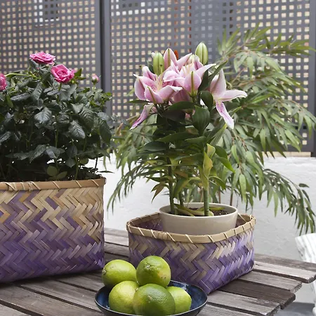 Feelathome Madrid Suites Apartments-3